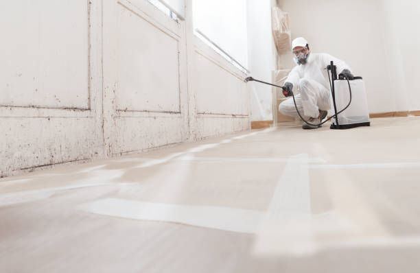 24/7 Emergency Mold Cleanup experts in Hawthorne, FL