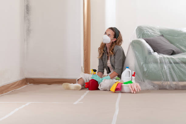 Reliable Mold Cleanup contractor in Hawthorne, FL by Cheap Mold Removal